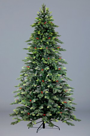 Ель Императрица 2