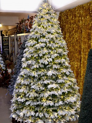 ЭКСКЛЮЗИВНАЯ ЕЛЬ