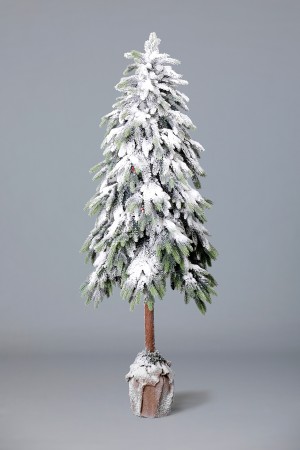 Ель Альпийская в горшке (снег)