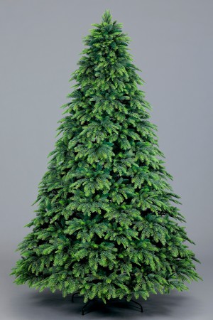 Ель Сибирская 2