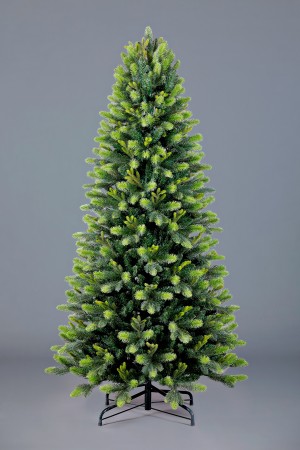 Ель Карпатская 7