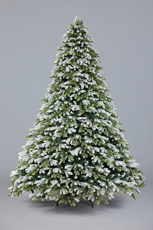 Ель Венеция (иней-кончики)