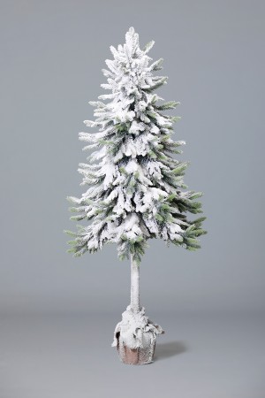 Ель Ноэль в горшке (снег)